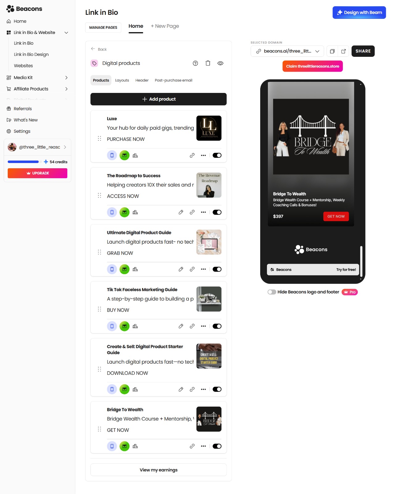 Bridge To Wealth — Link-in-Bio Store — Store Setup project delivered by Sophia